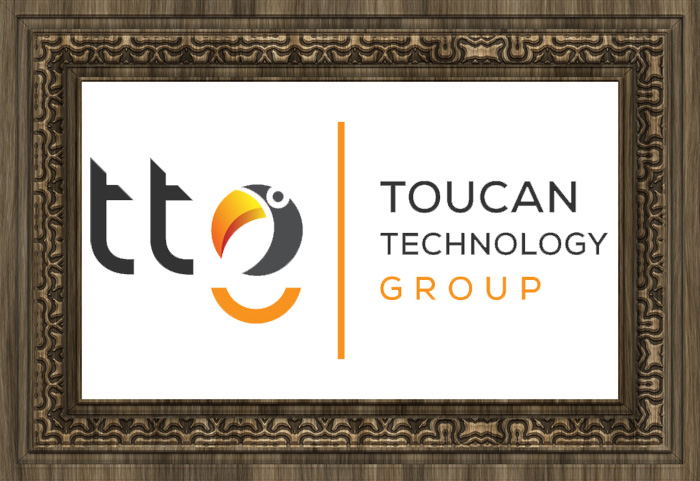 Toucan technology group logo - cybersecurity experts